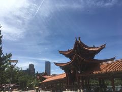 -洛龙公园