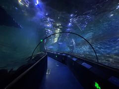 -厦门海底世界