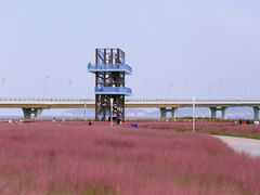 -烟台金沙滩海滨公园