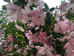 -同济大学(嘉定校区)