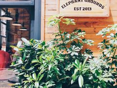 -Elephant Grounds(STARSTREET)