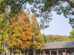 -苏州上方山国家森林公园