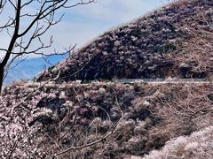 -妙峰山风景名胜区