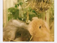 -龙猫仔乐园(惠福东路店)