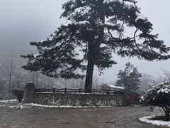 -秦岭终南山世界地质公园翠华山景区