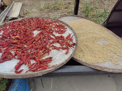 -新安江山水画廊风景区