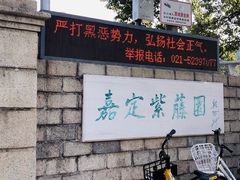 -嘉定紫藤园