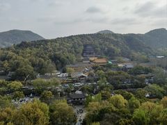 -大马弄蒋师傅美食酥鱼(察院前店)
