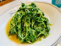 清炒萝卜苗-老奶奶私房菜(天台里街店)