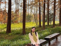 -黄海国家森林公园