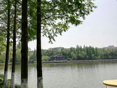 -荆川公园