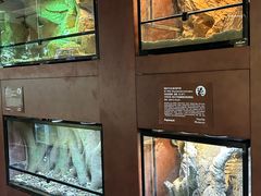 -帕帕拉兹宠物(亚洲旗舰店)