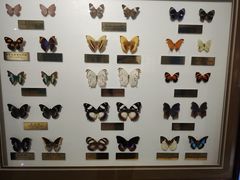 -上海昆虫博物馆
