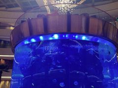 -OPEN開全日自助餐厅·西餐·海鲜(佛山希尔顿酒店)