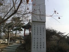 -大兴滨河森林公园