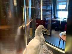 -老板恋上鱼(印象城店)