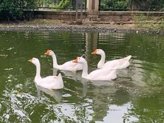 -诸暨同方豪生大酒店