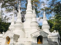 -西双版纳原始森林公园