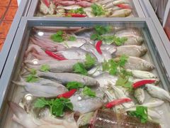 -百年银屏蚝烙·潮汕菜·非遗(乐山店)
