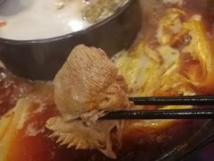 -重庆烧鸡公火锅(簋街店)