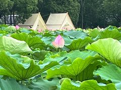 -嘉北郊野公园