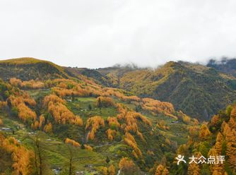 景区属于自然保护区比较原始