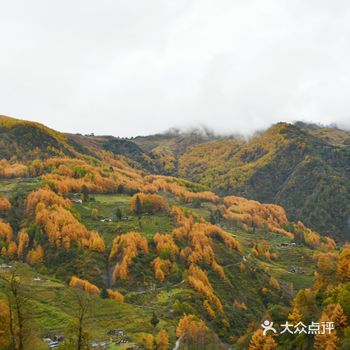 景区属于自然保护区比较原始