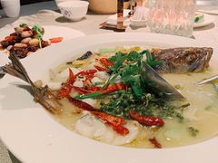 金汤酸菜海鲈鱼-肴约·花园式餐厅(湖里店)