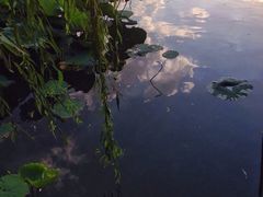 紫竹院公园-紫竹院公园冰场