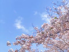 -上海南浦大桥长途旅游客运站