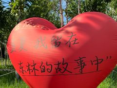 -东北林业大学-俭德园食堂