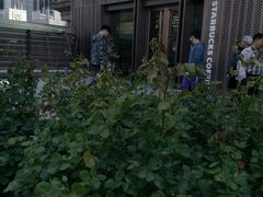 -星巴克(天津大悦城第二店)