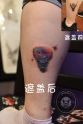 动物-越域刺青
