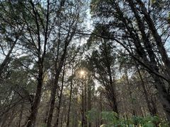 -龙洞风景区-藏龙涧