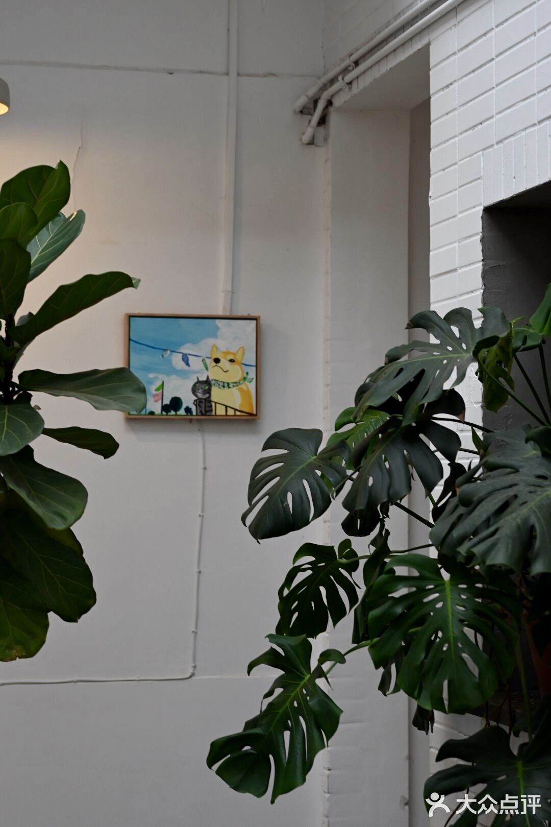 无锡探店｜藏在巷子里的宝藏咖啡店｜地铁口