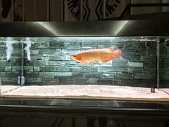 -星巴克(北京西大望路温特莱店)