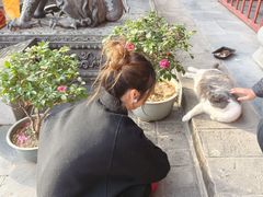 -长春观