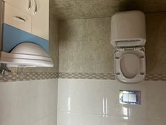 -金山农民画村-枫泾波兰倒置屋