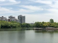 -新江湾城公园