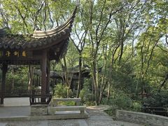 -上海佘山国家森林公园天马山园