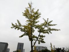 -尚贤河湿地