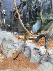 -Zoolung Zoolung动物主题公园(海信广场店)