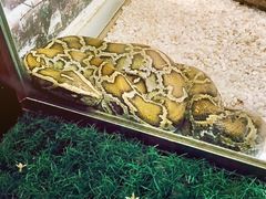 石家庄动物园-石家庄市动物园