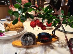 -唐猫庭院·千年陕菜(大唐不夜城店)