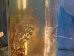 -渔中舟海鲜大排档(普陀沈家门店)