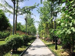 -唐城墙遗址公园
