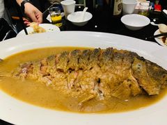 红烧黄河大鲤鱼（49元/斤）-阿庄新豫菜(通泰路店)