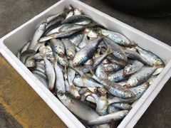 -西门岛码头海鲜馆
