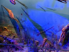 -浙江自然博物院(杭州馆)