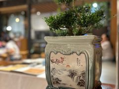 -若蘭慈·无国界素食料理(欢乐海岸店)